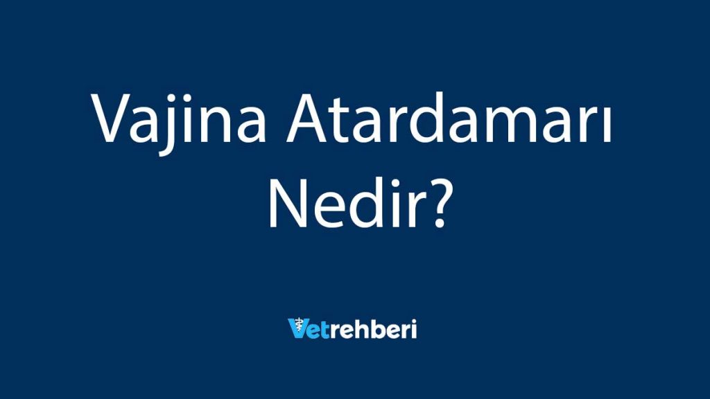 Vajina Atardamarı Nedir?