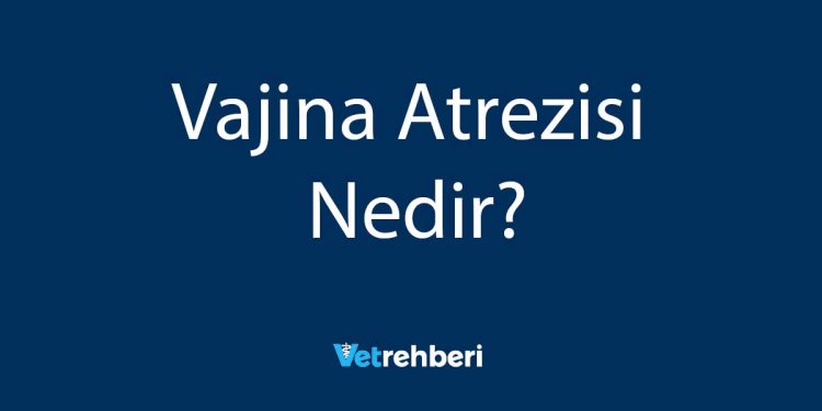 Vajina Atrezisi Nedir?