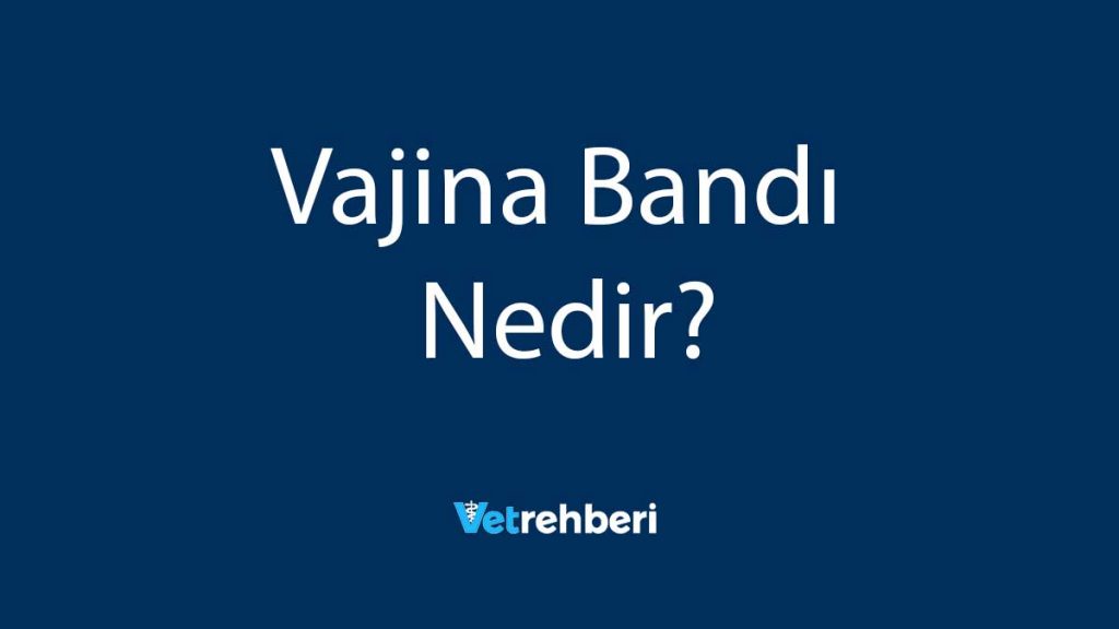 Vajina Bandı Nedir?