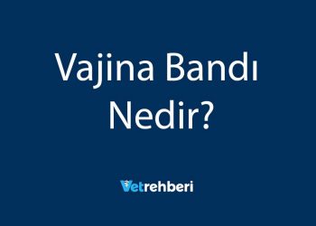 Vajina Bandı Nedir?