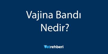 Vajina Bandı Nedir?