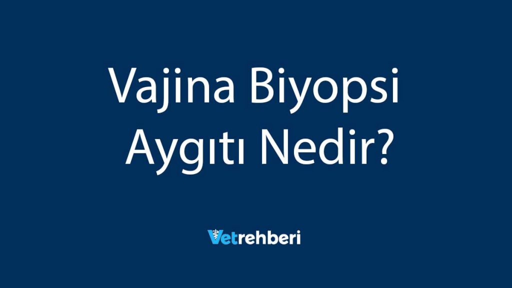 Vajina Biyopsi Aygıtı Nedir?