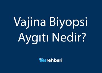 Vajina Biyopsi Aygıtı Nedir?