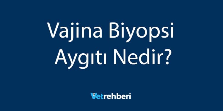 Vajina Biyopsi Aygıtı Nedir?