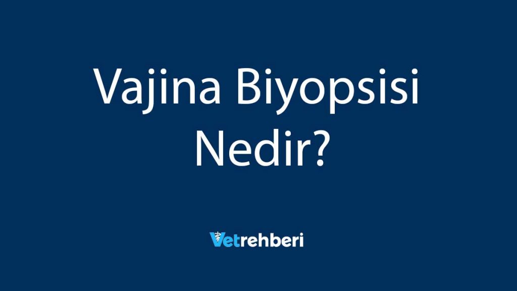 Vajina Biyopsisi Nedir?