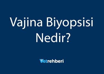Vajina Biyopsisi Nedir?
