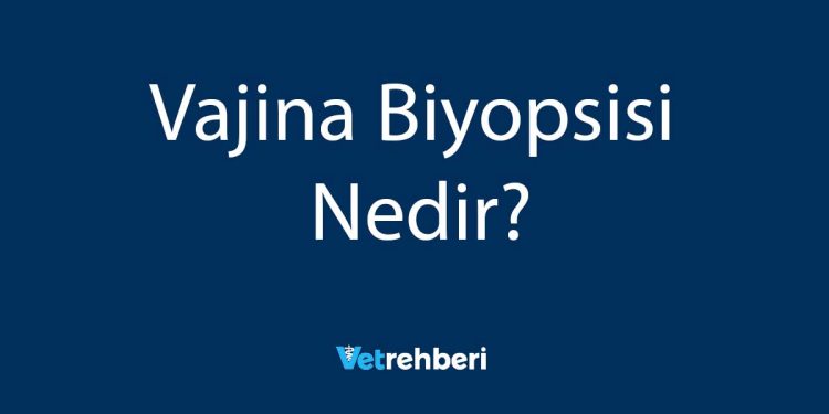 Vajina Biyopsisi Nedir?