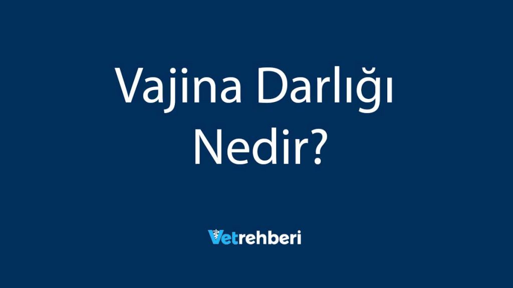 Vajina Darlığı Nedir?