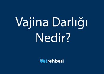 Vajina Darlığı Nedir?