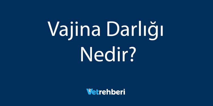 Vajina Darlığı Nedir?