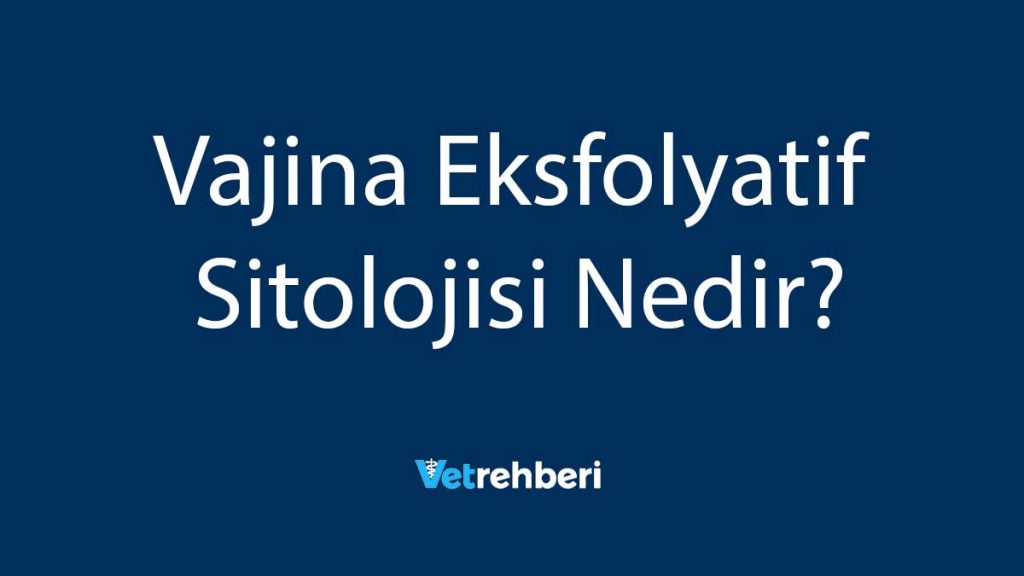 Vajina Eksfolyatif Sitolojisi Nedir?