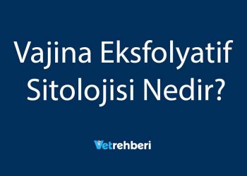 Vajina Eksfolyatif Sitolojisi Nedir?