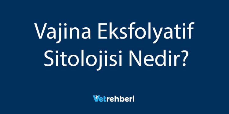 Vajina Eksfolyatif Sitolojisi Nedir?