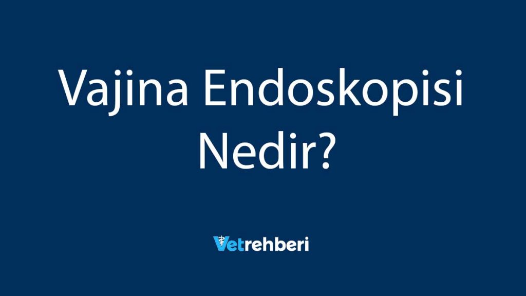 Vajina Endoskopisi Nedir?