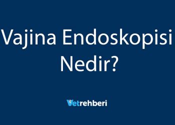 Vajina Endoskopisi Nedir?