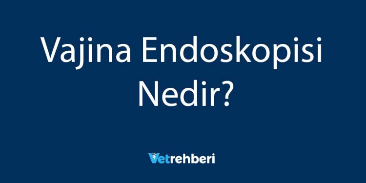 Vajina Endoskopisi Nedir?