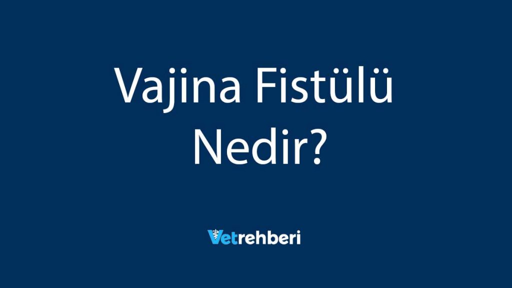 Vajina Fistülü Nedir?