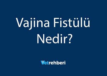 Vajina Fistülü Nedir?