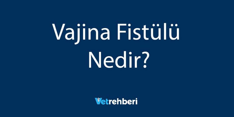 Vajina Fistülü Nedir?