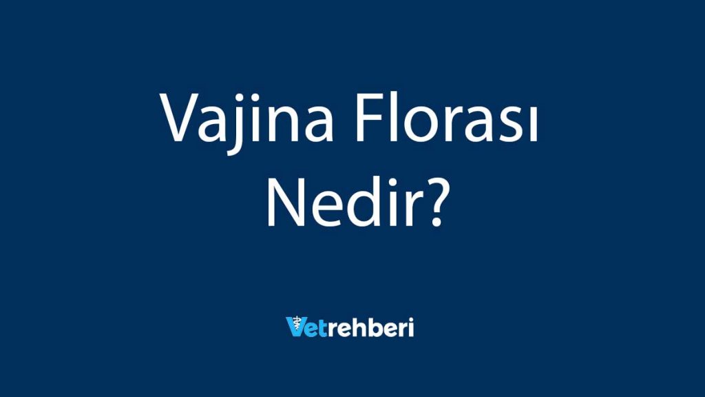 Vajina Florası Nedir?