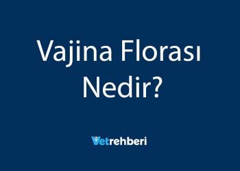 Vajina Florası Nedir?