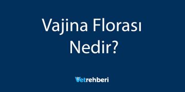Vajina Florası Nedir?