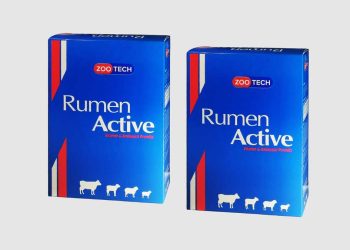 Rumen Active