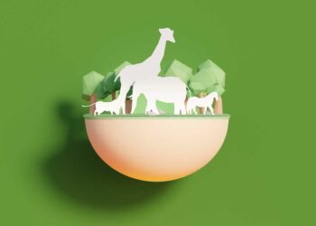 Hayvanlarda Konstitüsyon