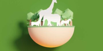 Hayvanlarda Konstitüsyon