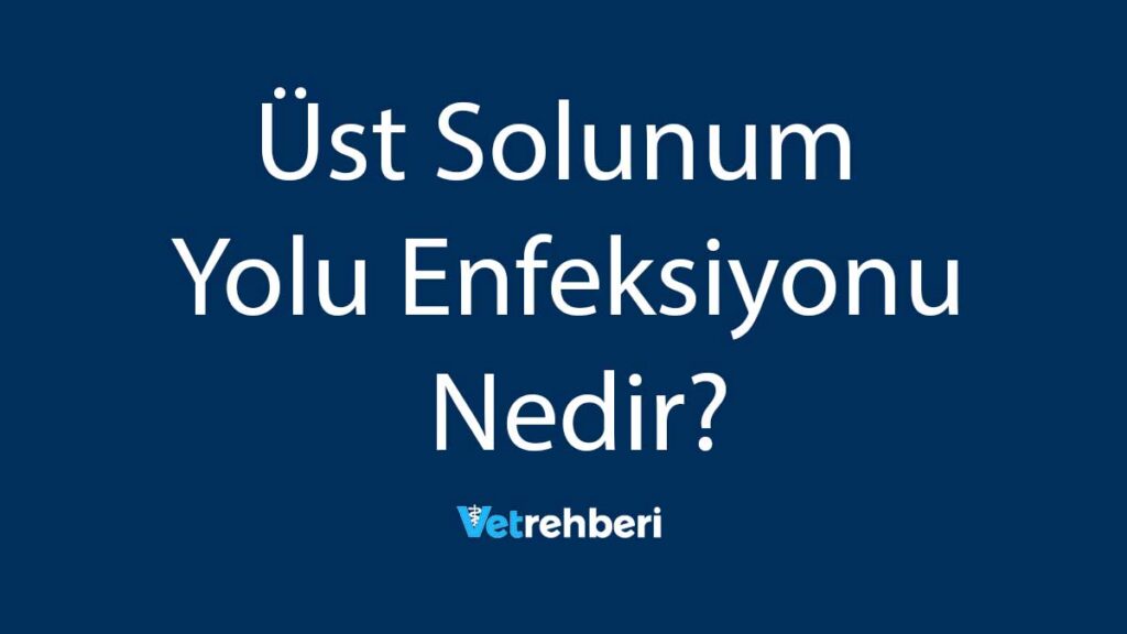 Üst Solunum Yolu Enfeksiyonu Nedir?