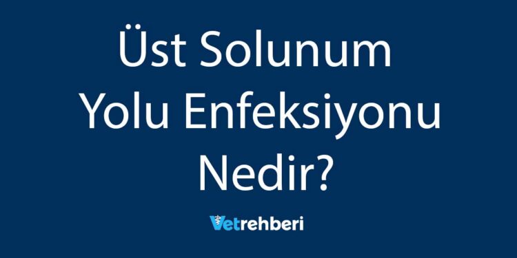 Üst Solunum Yolu Enfeksiyonu Nedir?