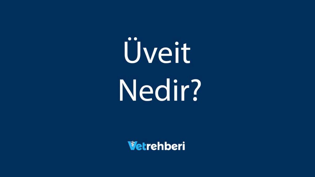 Üveit Nedir?