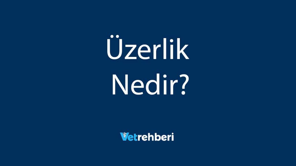 Üzerlik Nedir?