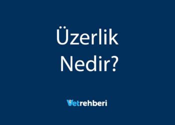 Üzerlik Nedir?