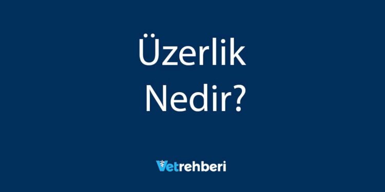 Üzerlik Nedir?