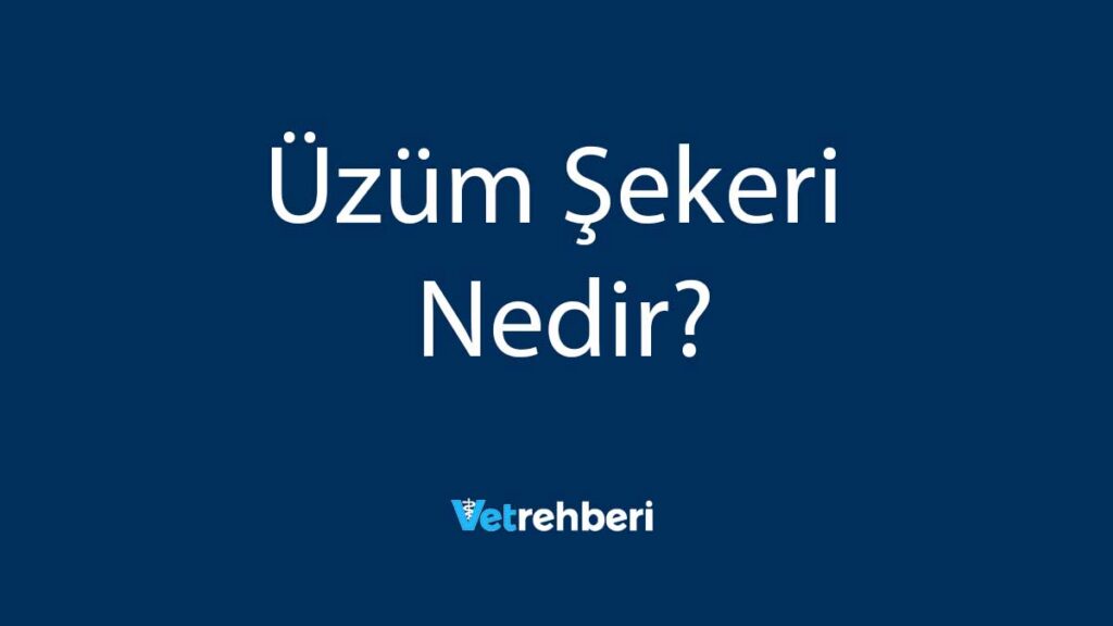 Üzüm Şekeri Nedir?