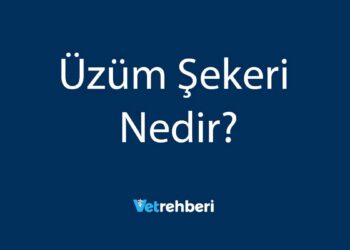 Üzüm Şekeri Nedir?
