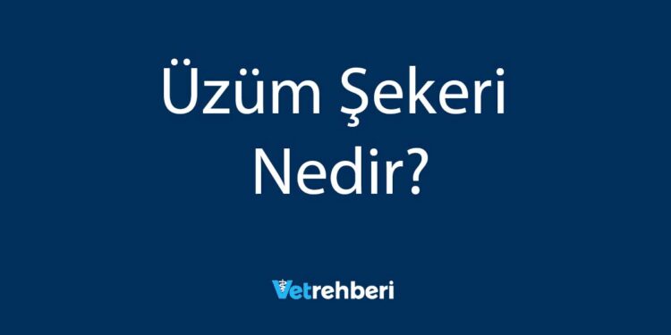 Üzüm Şekeri Nedir?