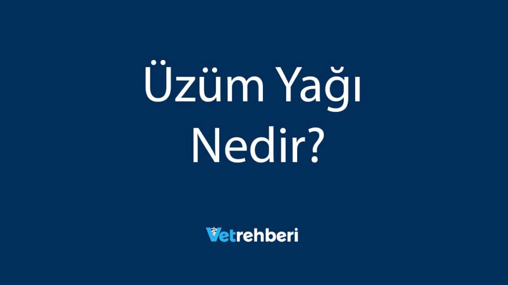 Üzüm Yağı Nedir?