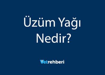 Üzüm Yağı Nedir?