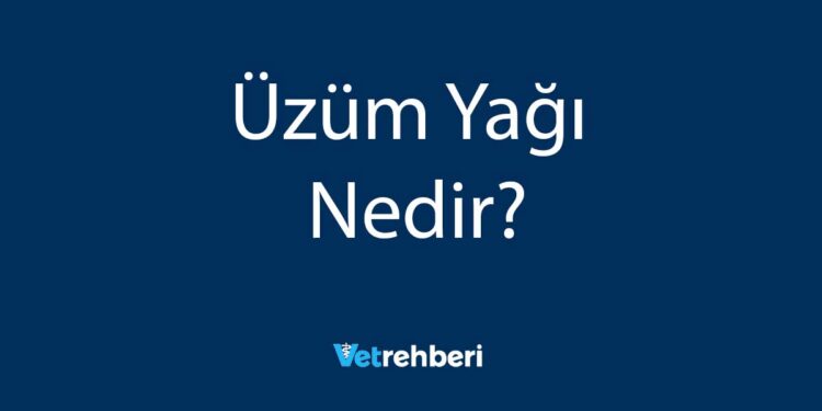 Üzüm Yağı Nedir?