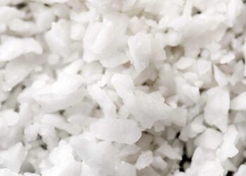 Çiftlik Hayvanlarında Tuz Zehirlenmesi