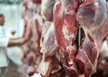 Süt Çiftliğinden Et Elde Etmek