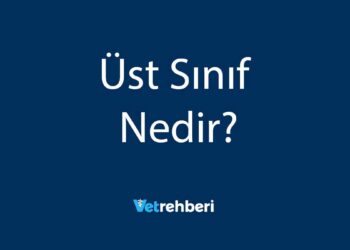 Üst Sınıf Nedir?