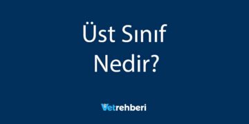 Üst Sınıf Nedir?