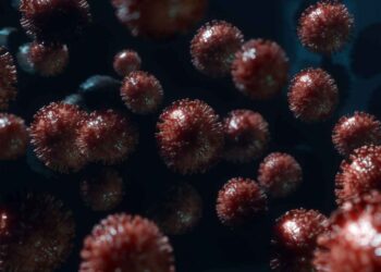 Mikoplazma Bovis ve Antibiyotik Direnci