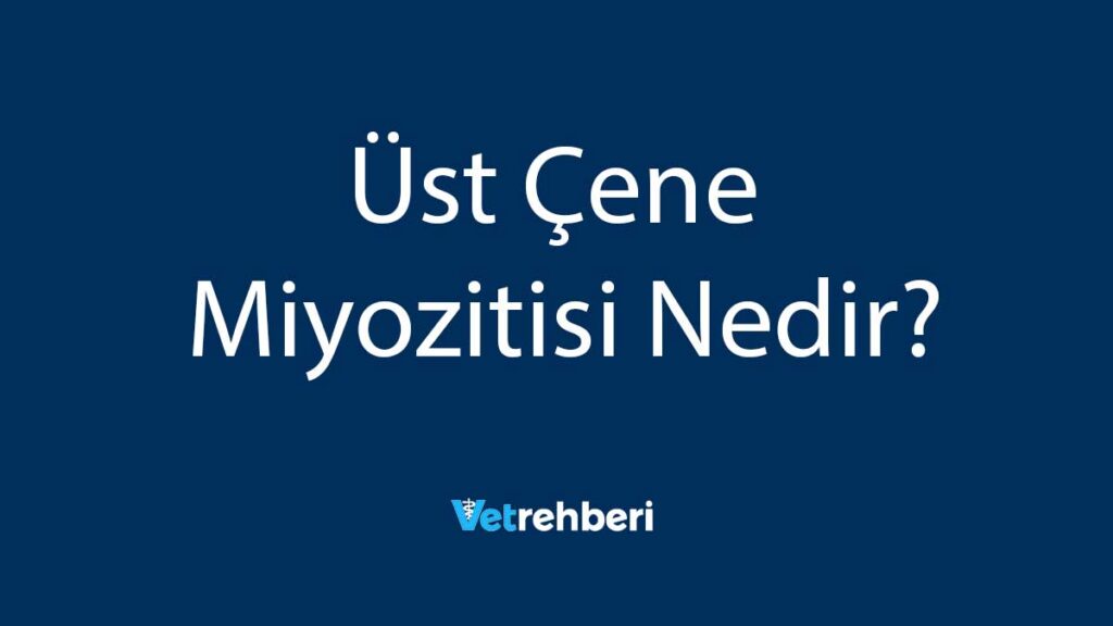 Üst Çene Miyozitisi Nedir?