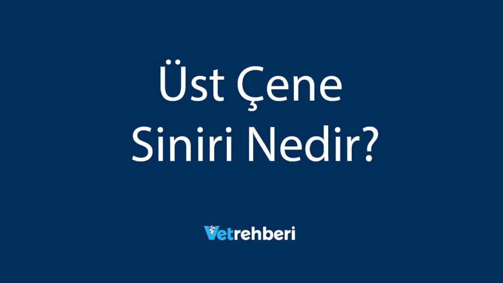 Üst Çene Siniri Nedir?