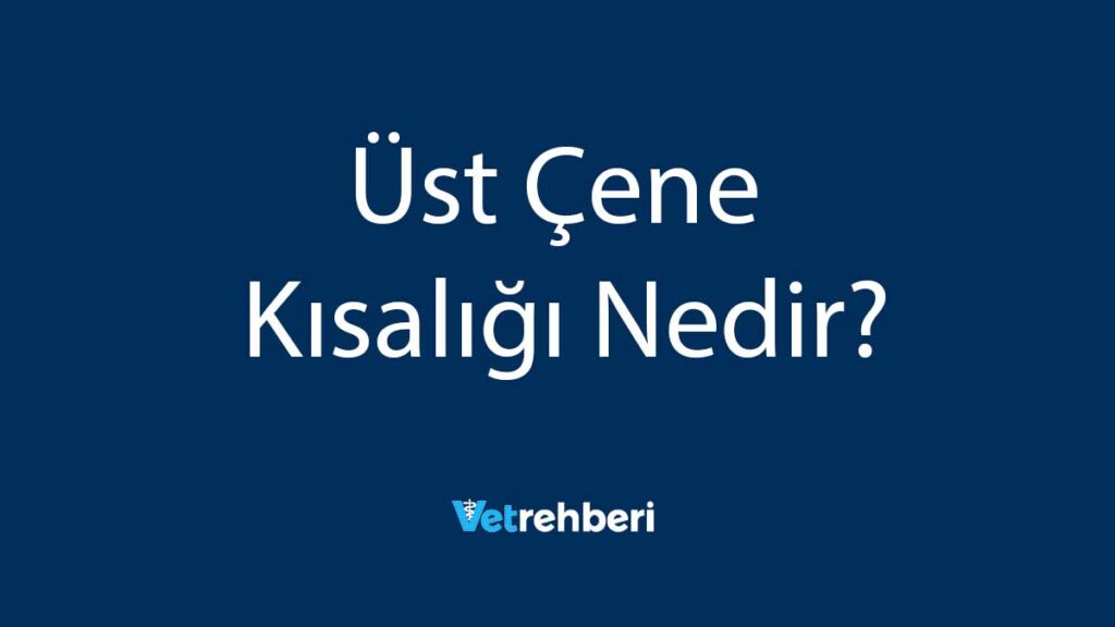 Üst Çene Kısalığı Nedir?