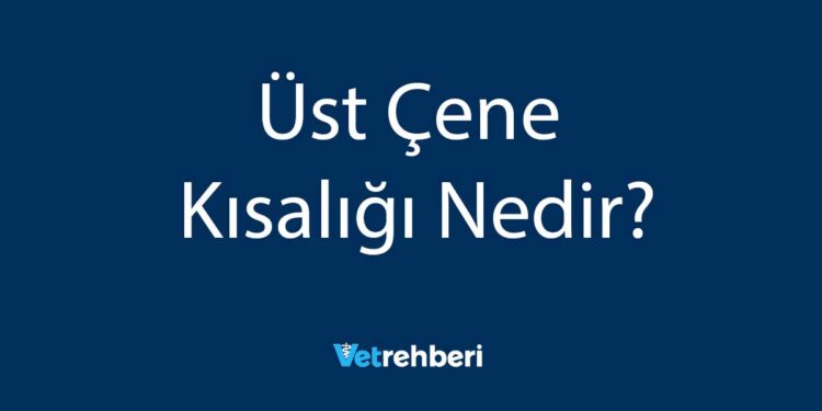 Üst Çene Kısalığı Nedir?